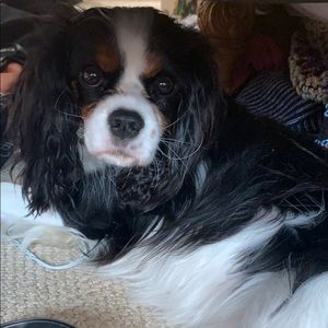 Meet your Posher, Nancy